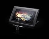 Wacom Cintiq 13HD - 3