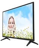 Thomson 32HC3106 81 cm (32 Zoll) Fernseher (HD Ready, Triple-Tuner) - 4